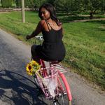 Vino Velo Bike Wine Tours & Bike Rentals