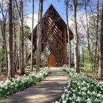 Garvan Woodland Gardens