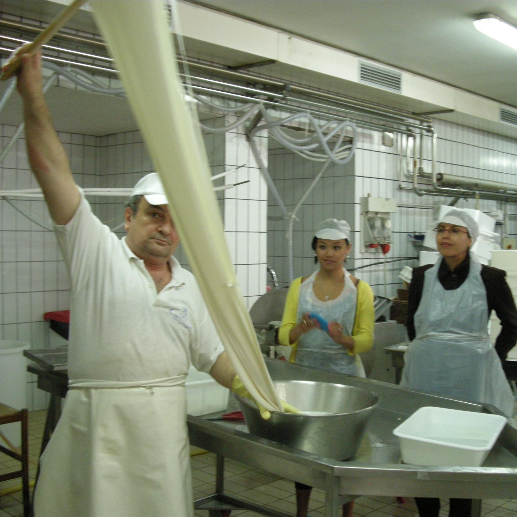 Day trip to Buffalo Mozarella Factory in Amalfi Coast 😍🧀❤️
