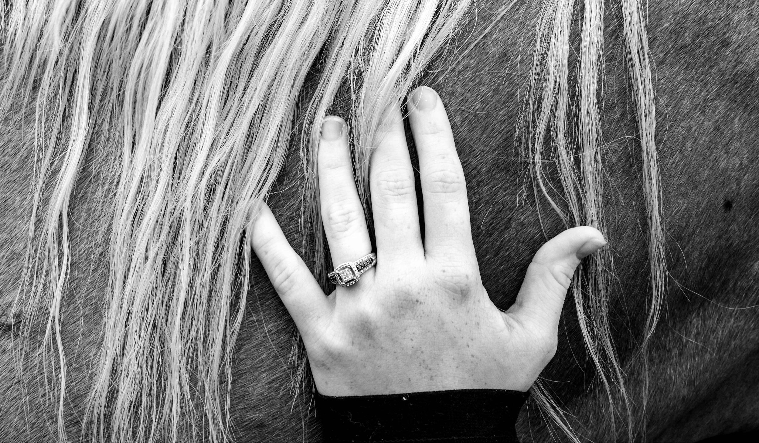 The Wedding Website of Amber Hendryx and Jacoby Adolph