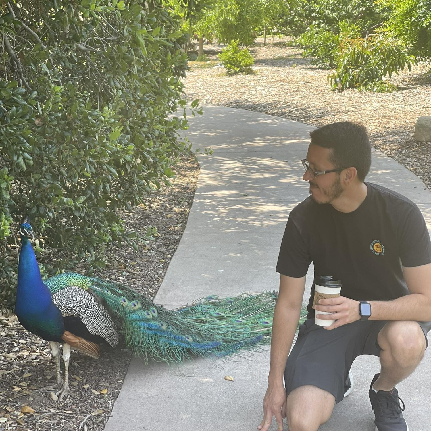 Connecting with the Peacocks! Oscar will connect with ANY animal! The animals love him.