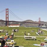 Crissy Field