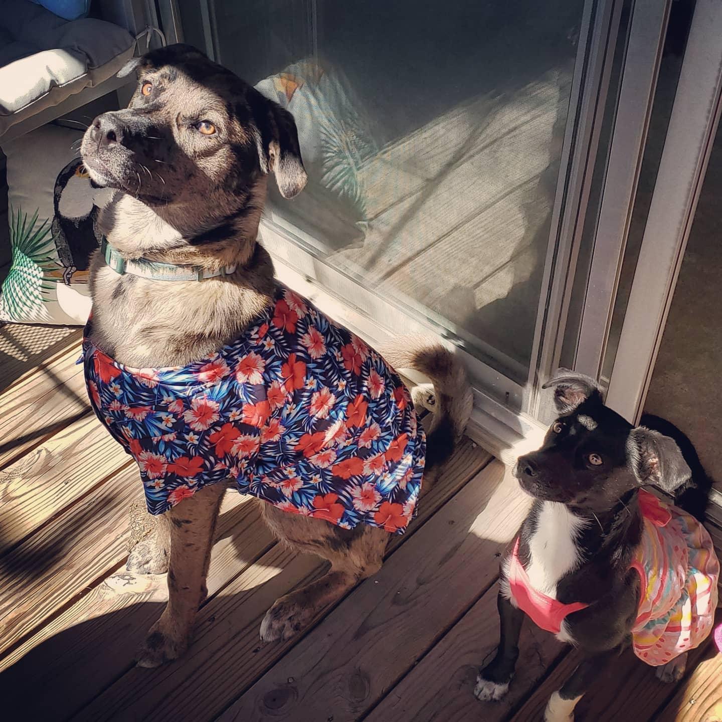 They are the cutest