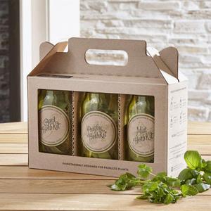 Garden Jar Hydroponic Herb Kit