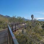 McDowell Mountain Regional Park