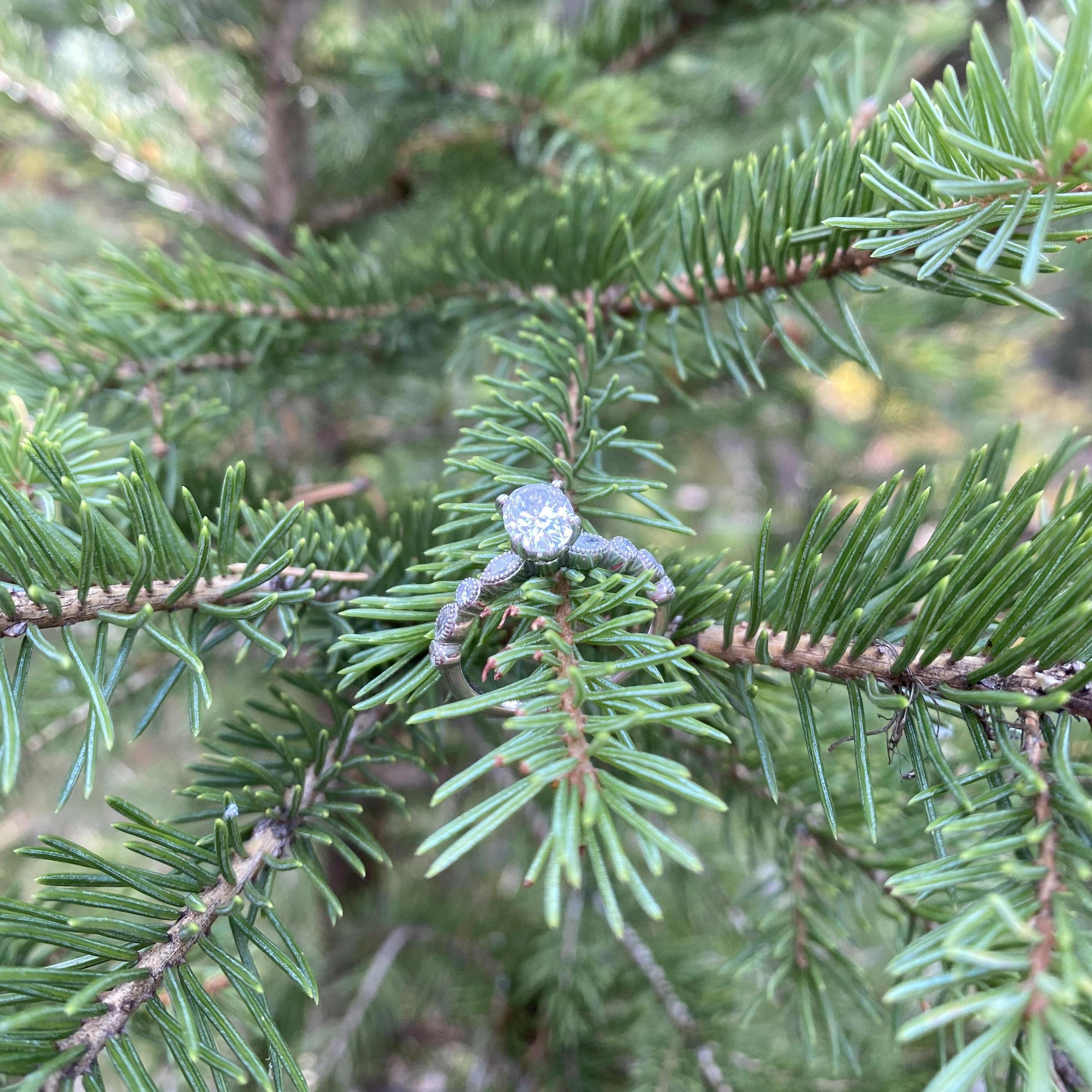 The engagement ring!