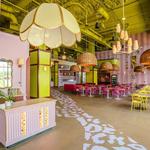 Jaguar Bolera - Raleigh