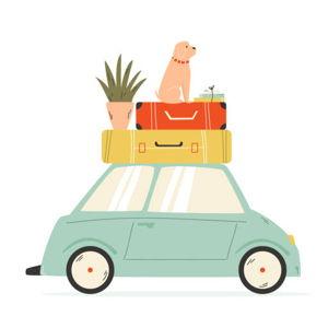 Travel Time!