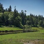 Birch Bay State Park