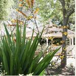 Pleasant Valley Historical Society and Museum