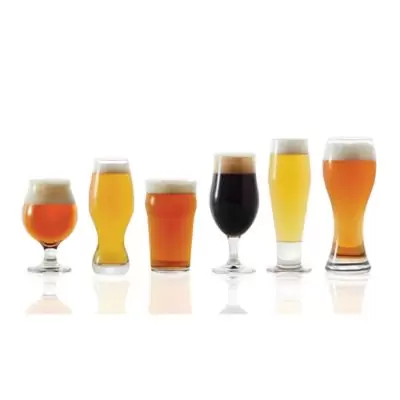 Dailyware™ 6-Piece Assorted Craft Brew Beer Glass Set