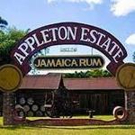 Appleton Estate