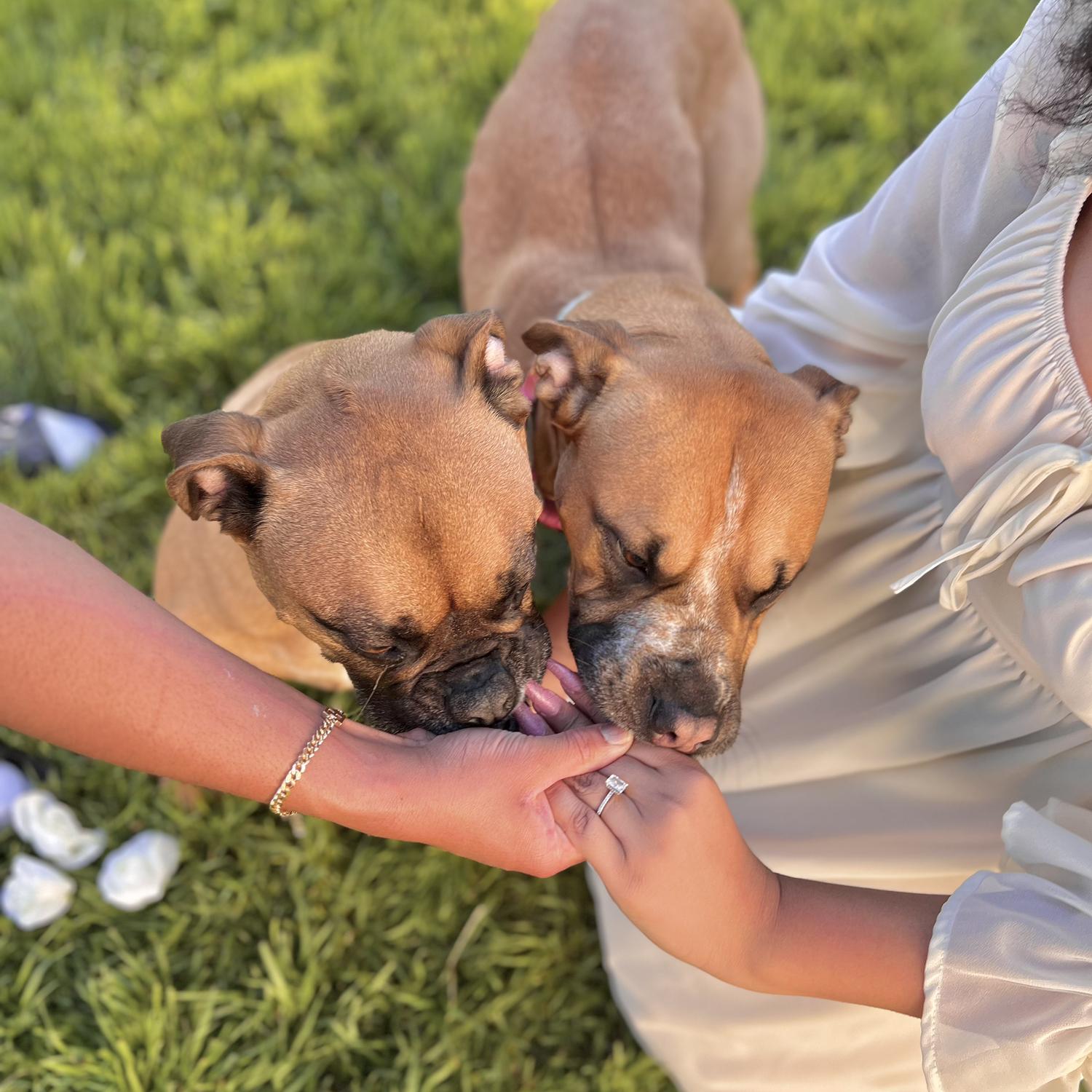 of course our best friends had to be in the photos!