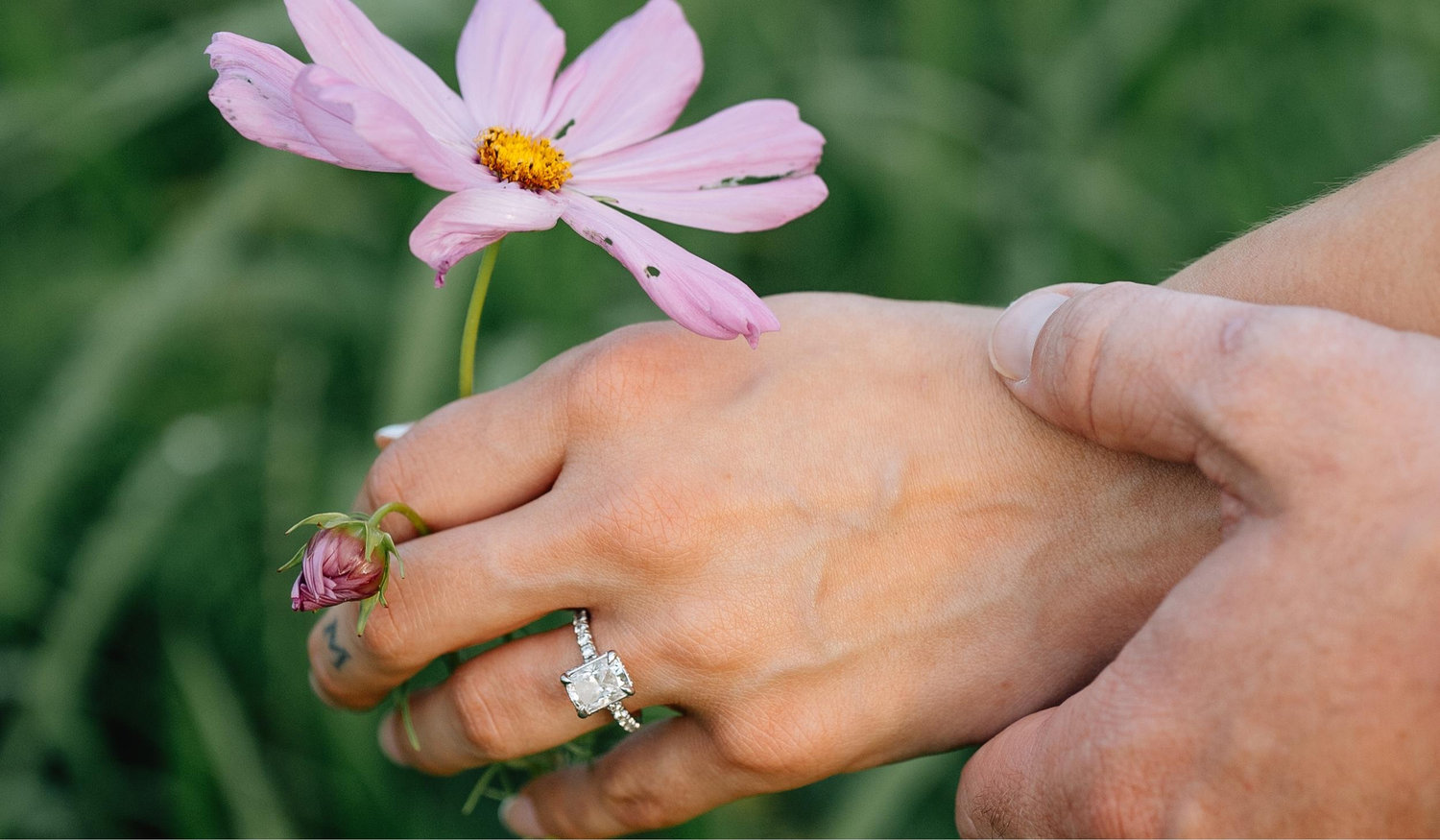 The Wedding Website of Rachel Maccarrone and Christopher Miller