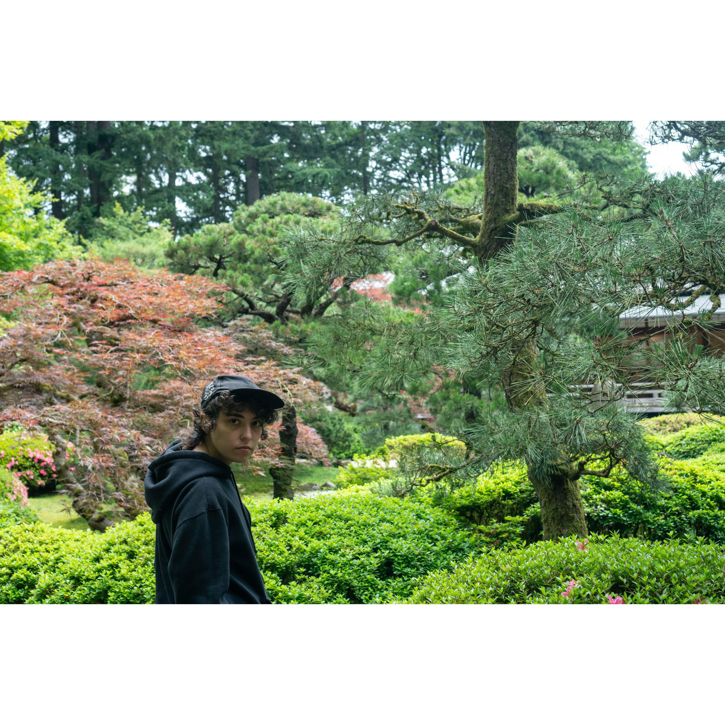 Rex in the Japanese Garden in Portland, OR