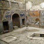 Wed 4/4/17 Group Tour:  Herculaneum, and Vineyard Tour with Wine included