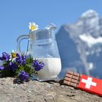 Swiss epic tours GmbH