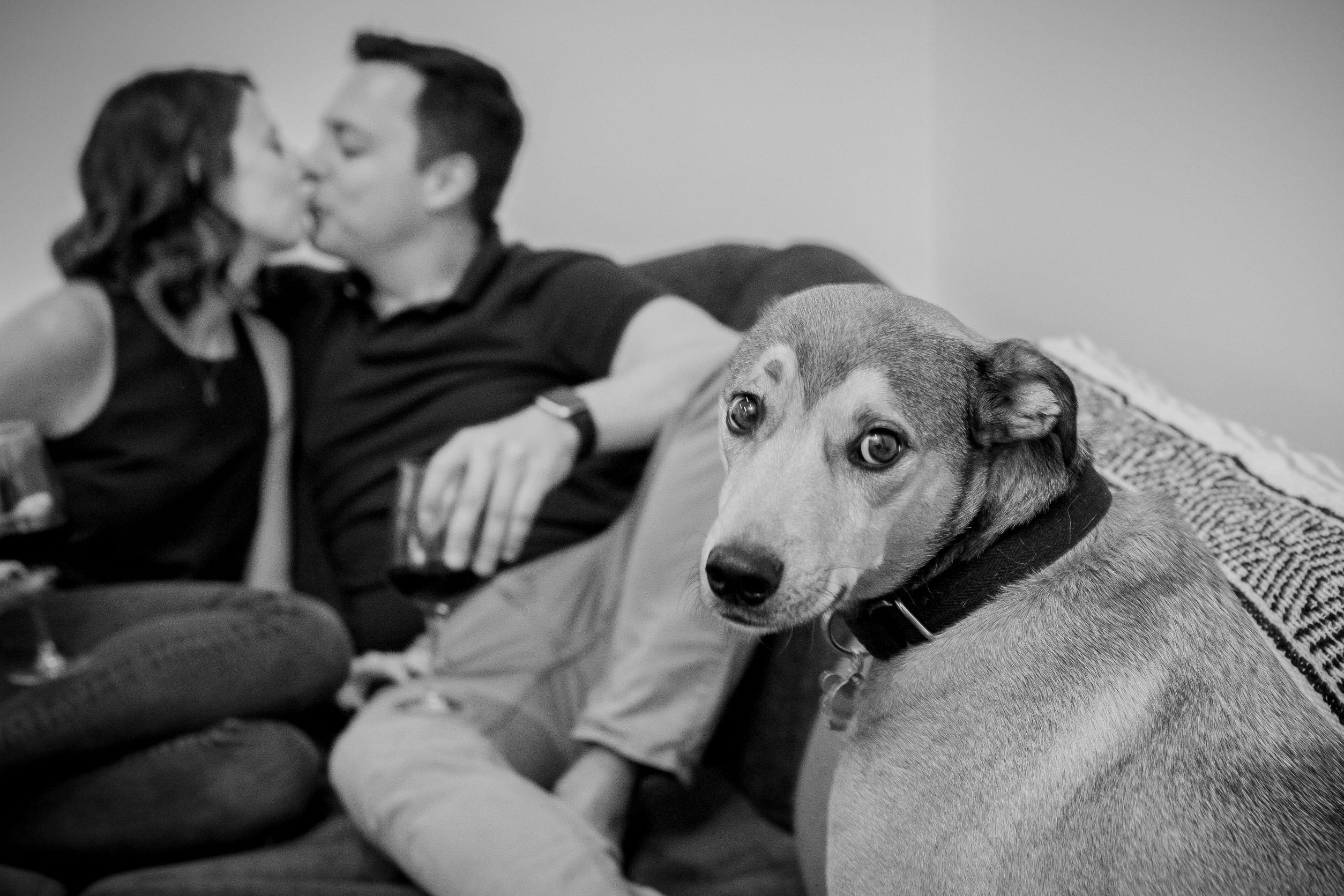The Wedding Website of Stephanie Ormston and Chris Carfa