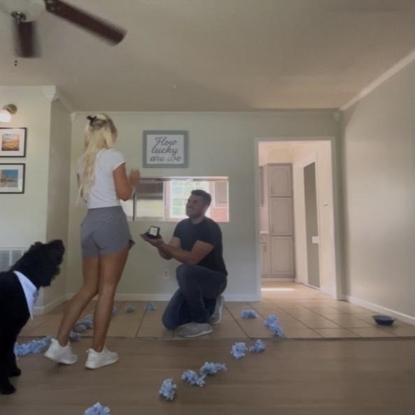 the proposal 💍🥹🩵 Jay displayed Kourtney’s favorites, blue hydrangeas in an arch & got down on one knee. Stella barked the entire time, she said “yes” too!