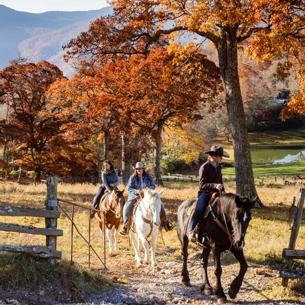 Horseback Riding in The Blue Ridge Mountains