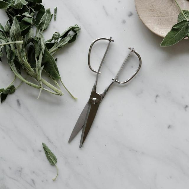 June Home Supply - toribe kitchen scissors