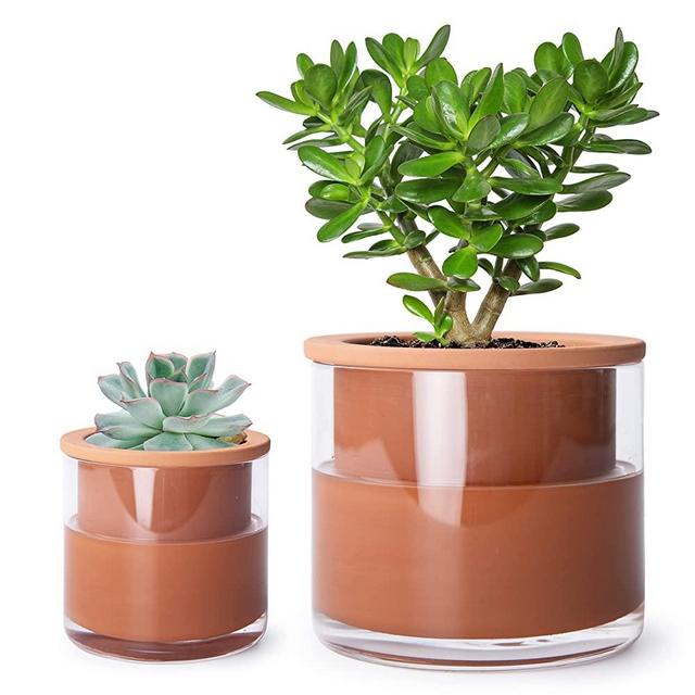 Phoenix Vine 4 Inch 6 Inch Self Watering Plants Pot, Design Terracotta Pots for Plants, Indoor Cylinder Terra Cotta Planter Pots with Glass Vase Set