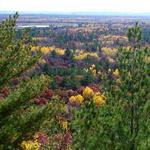 Black River State Forest