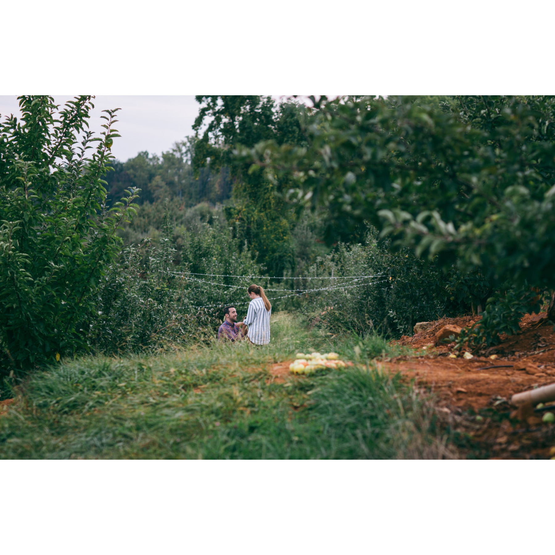 the best.
charlottesville | october 2017