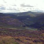 Wicklow Mountains National Park