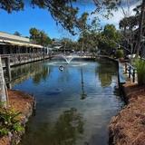 Coligny Plaza Shopping Center