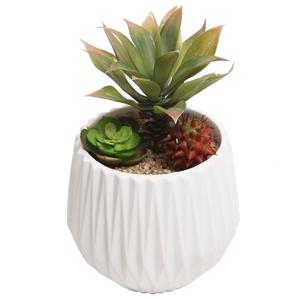 Modern Ceramic Planter, Small Round Garden Plant Container Pot, White