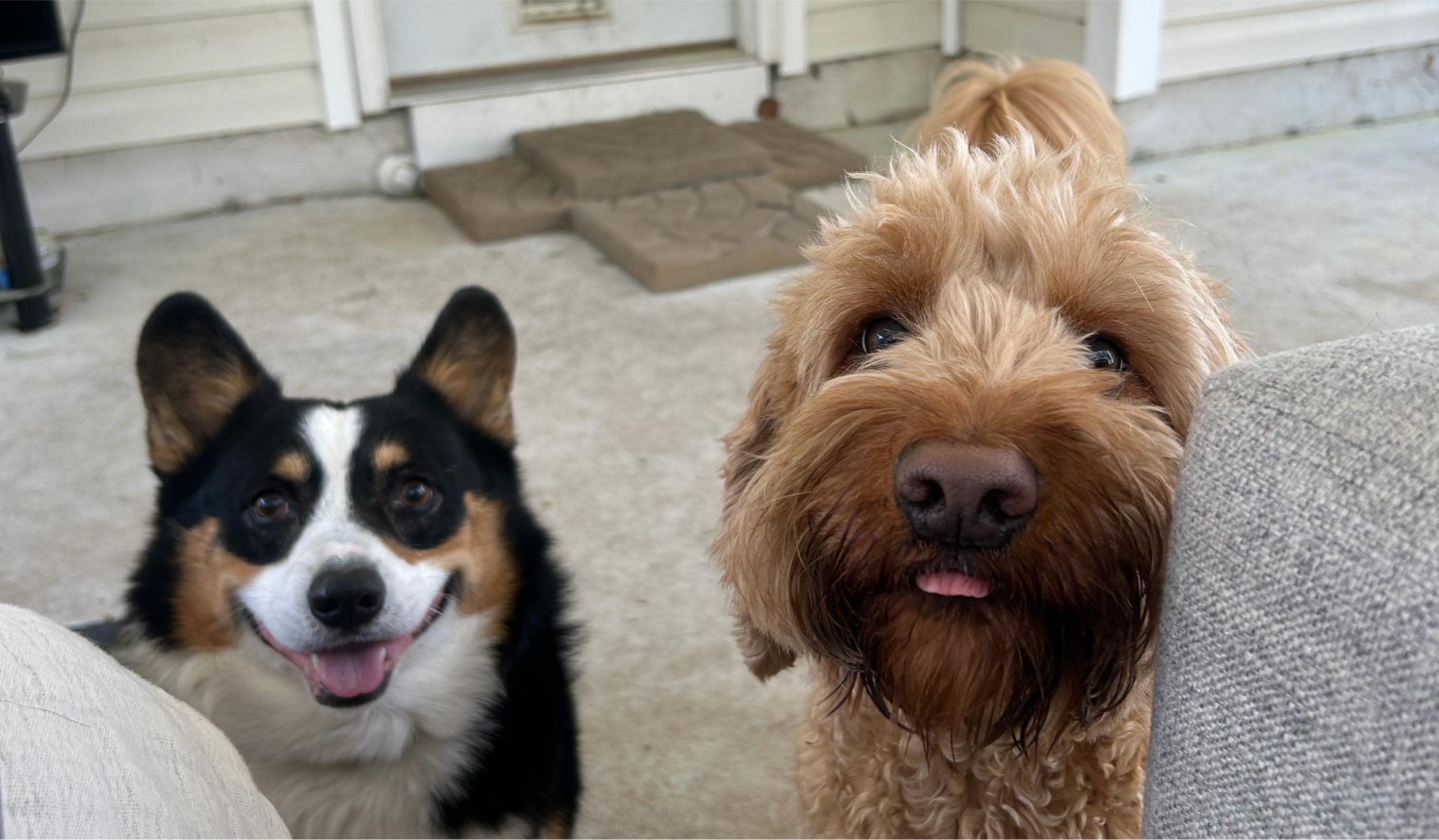 The Wedding Website of Amanda Porter and Anthony Negrini