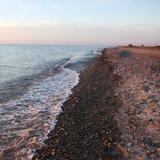 Illinois Beach State Park
