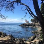 Lime Kiln Point State Park