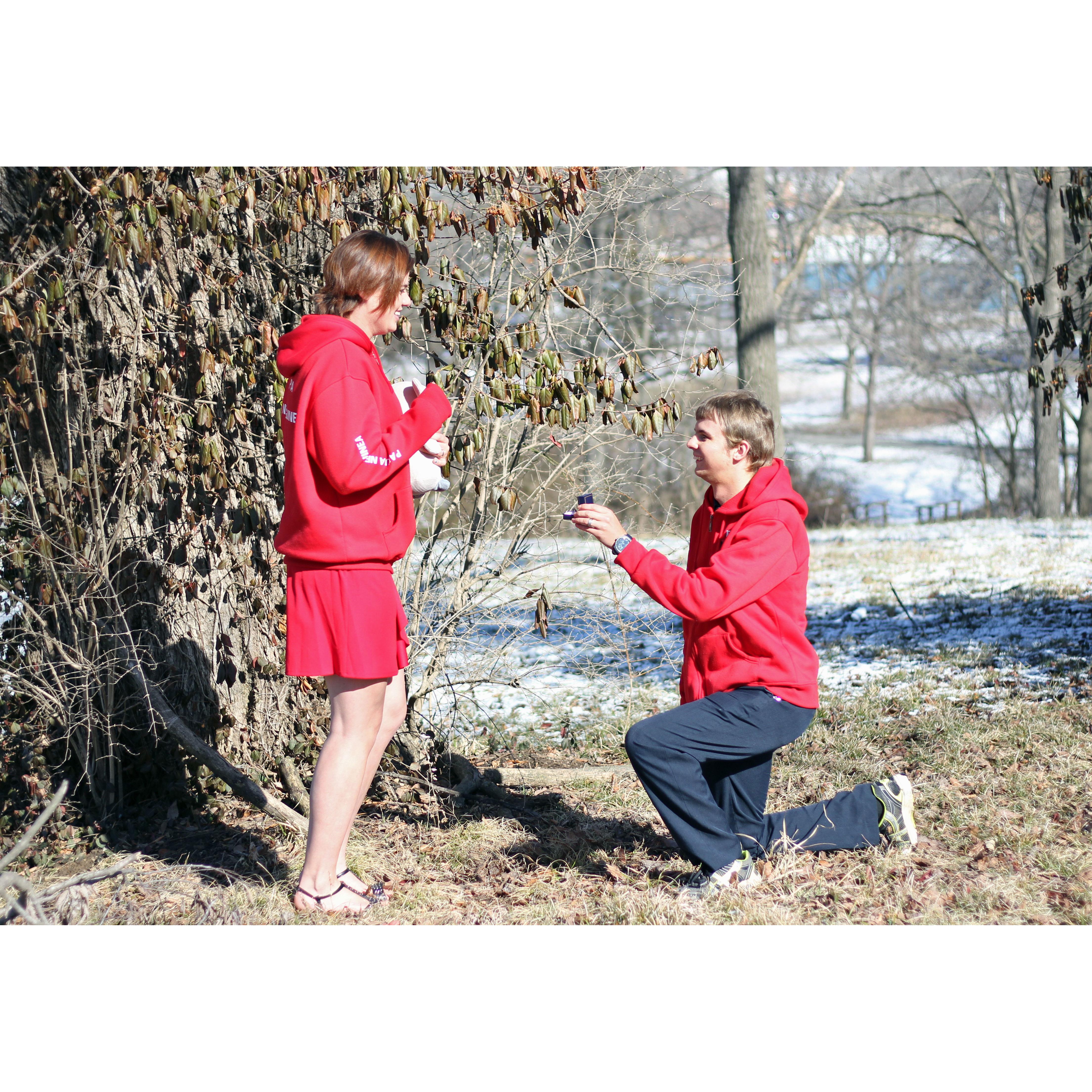 "Oh my gosh of course i will marry you!"
