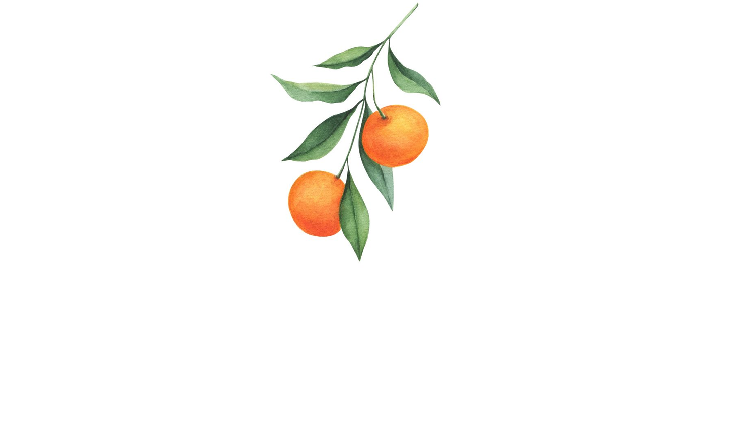 Footer image