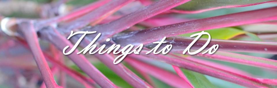 The Wedding Website of Amanda Miller and David McKinney