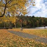 Gilbert Lake State Park