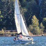 Sailing Adventures