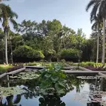 Jardín Botánico Culiacán