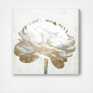 Gold and Light Floral II Canvas Art