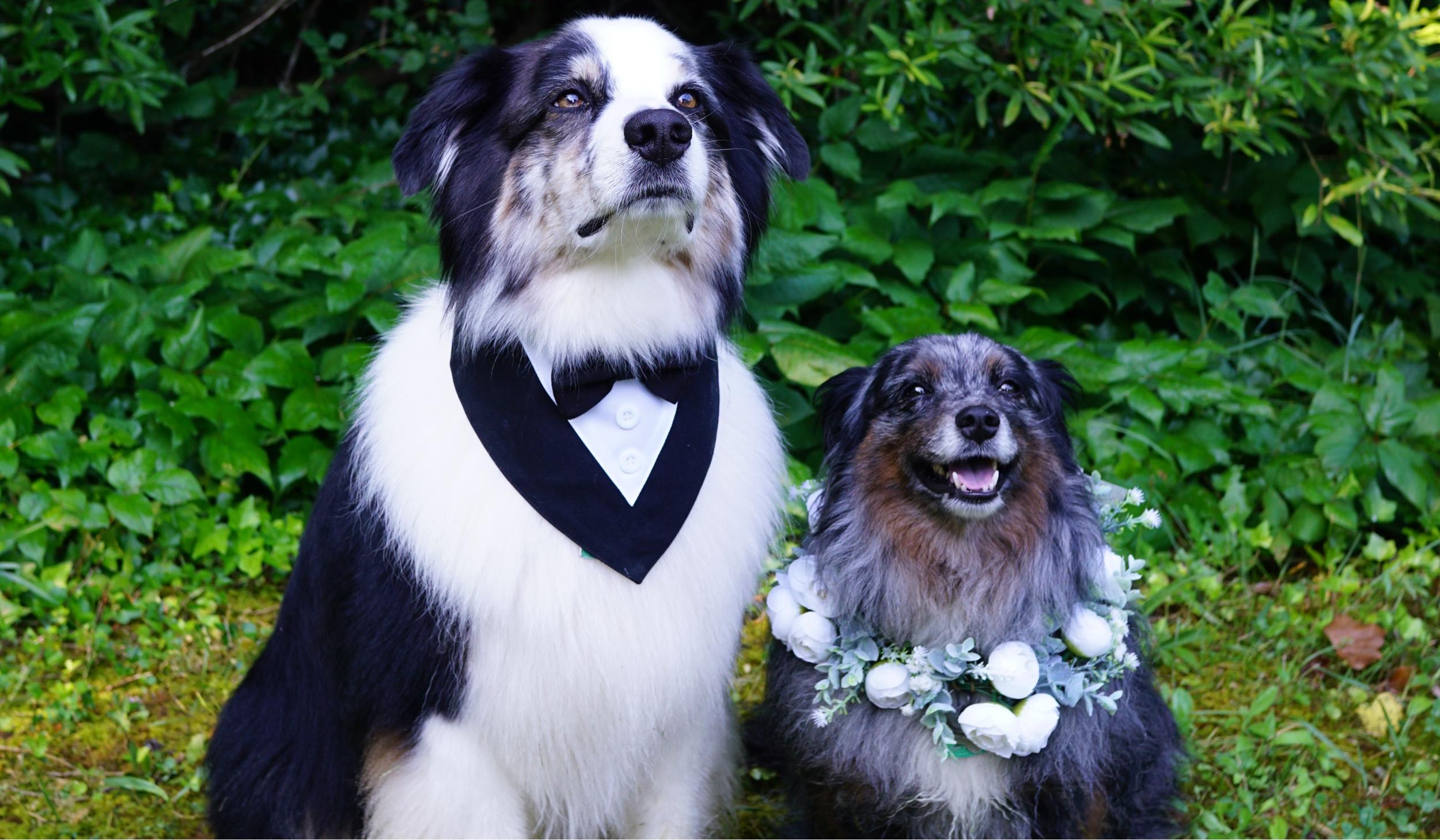 Hero Slideshow Image 1