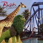 Busch Gardens Tampa Bay
