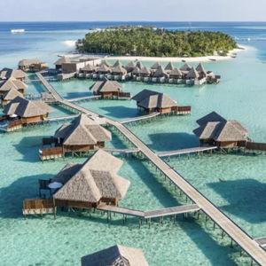 Honeymoon Fund