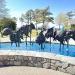 North Carolina Aquarium on Roanoke Island
