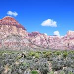 Red Rock Canyon National Conservation Area