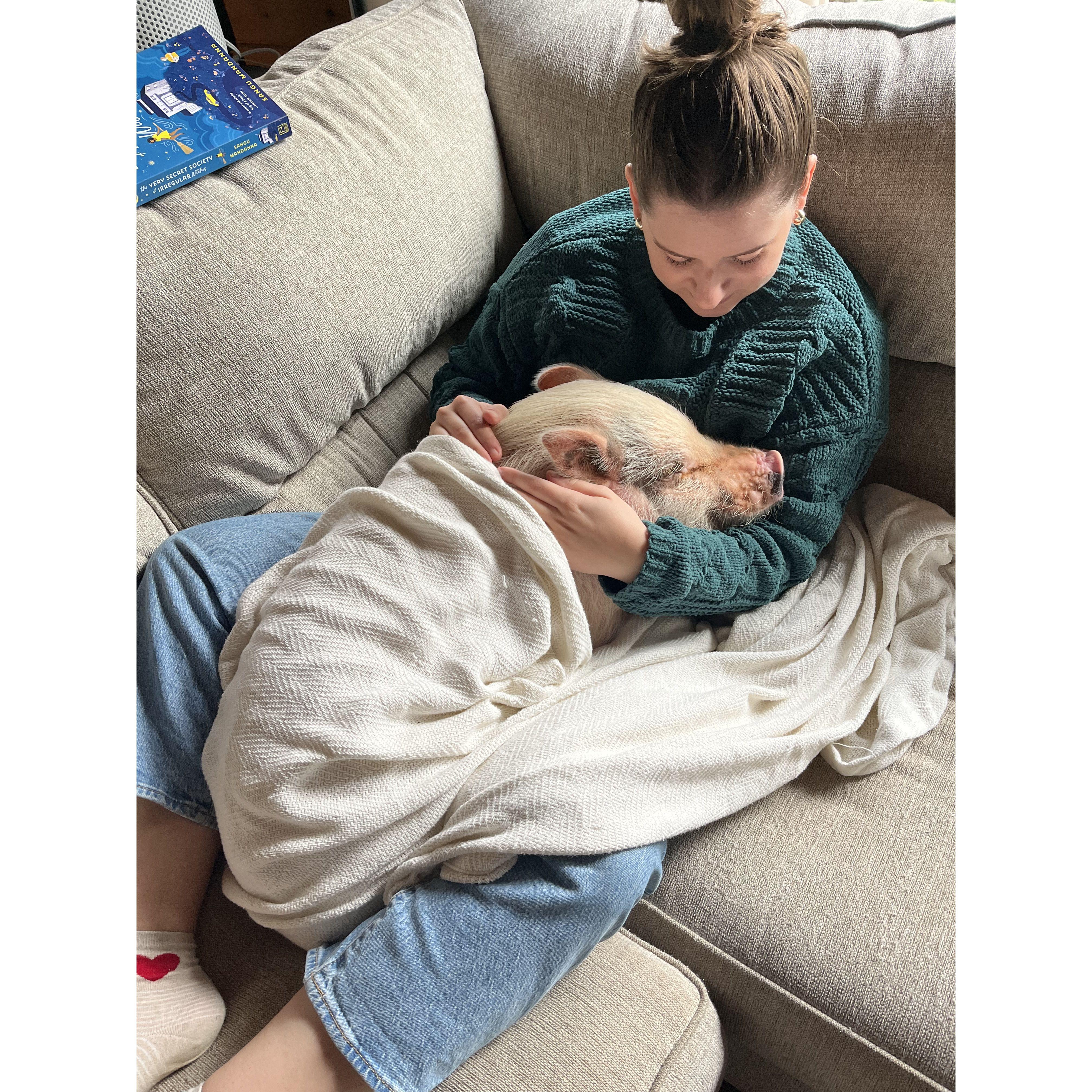 rescued our pig Sampson in 2023