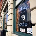 Lost Dog Cafe