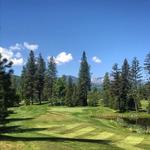 Cabinet View Golf Club