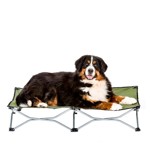 Large Portable Dog Cot - Green